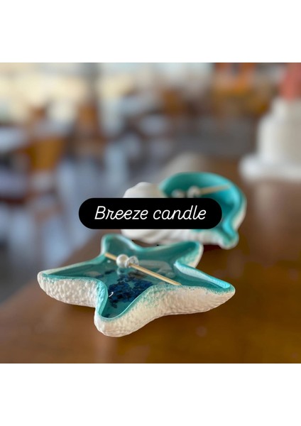 : Ev , Ofis Dekarasyonu Için (Deniz Yıldızı,istiridye) & Okyanus Temalı Jel Mum.