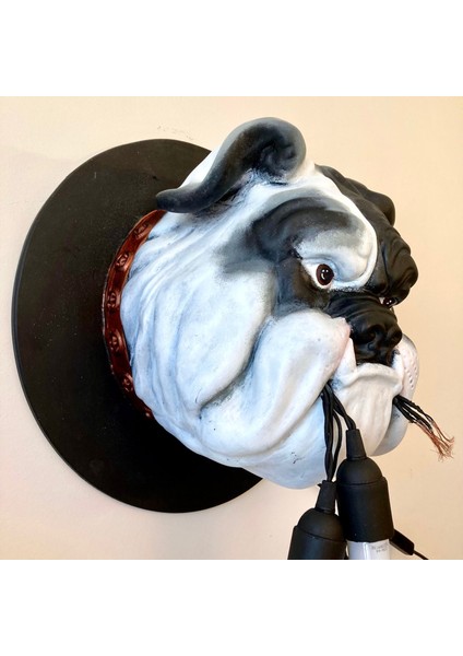 Duvar Buldog Aydınlatma Abajur Siyah Beyaz fiyatları