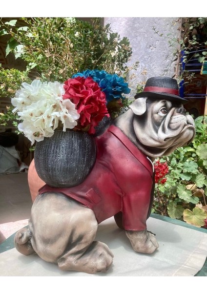 Buldog Saksılı Kopek