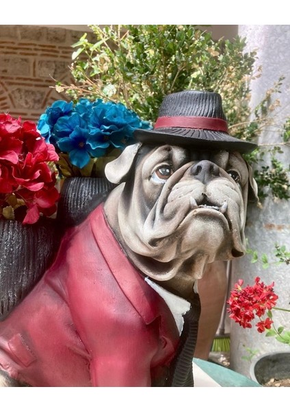 Buldog Saksılı Kopek fiyatları