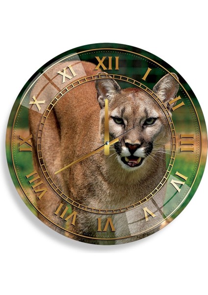 Şeffaf Cam Saat, 60 cm Uzunluk, Şık ve Modern Tasarım