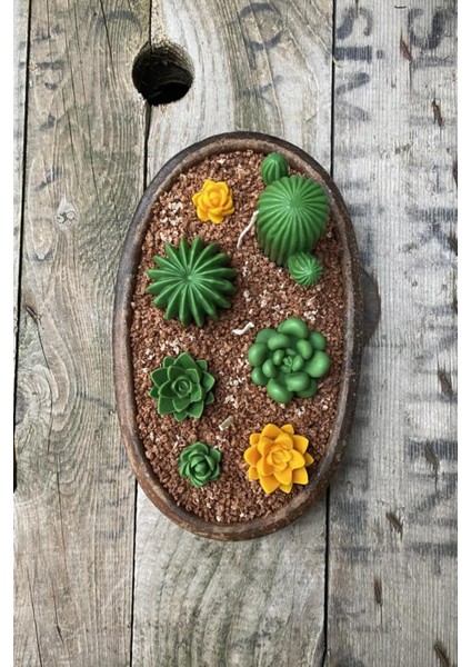 Saguaro Kaktüs Şeklinde Silikon Mum Kalıbı El Yapımı Dekoratif Mumlar İçin indirimleri