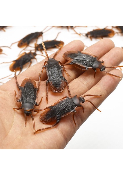 12 Adet Cadılar Bayramı Simüle Plastik Hamamböcekleri Aldatıcı Sahne Oyuncak Hüner Dekor (Yurt Dışından) fiyatları