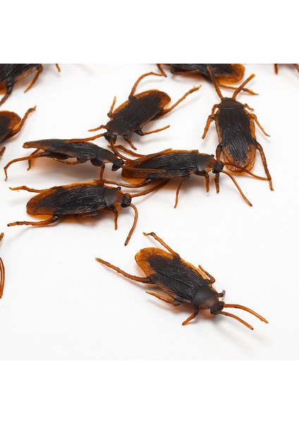 12 Adet Cadılar Bayramı Simüle Plastik Hamamböcekleri Aldatıcı Sahne Oyuncak Hüner Dekor (Yurt Dışından) modelleri