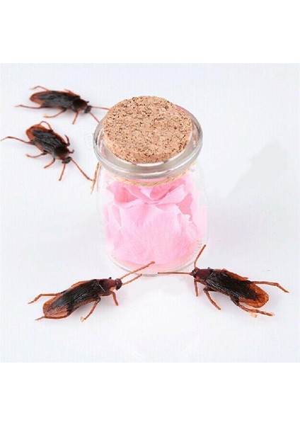12 Adet Cadılar Bayramı Simüle Plastik Hamamböcekleri Aldatıcı Sahne Oyuncak Hüner Dekor (Yurt Dışından) indirimleri