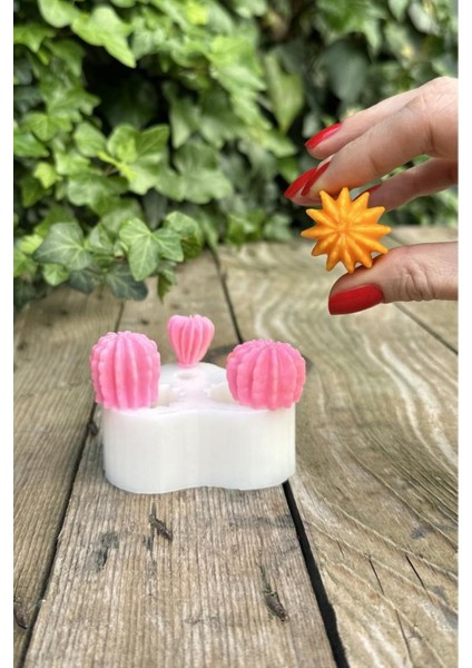 3'lü Sukulent Desenli Beyaz Silikon Mum Kalıbı – Kokusuz, Dayanıklı, Mum ve Sabun Yapımına Uygun 80 g