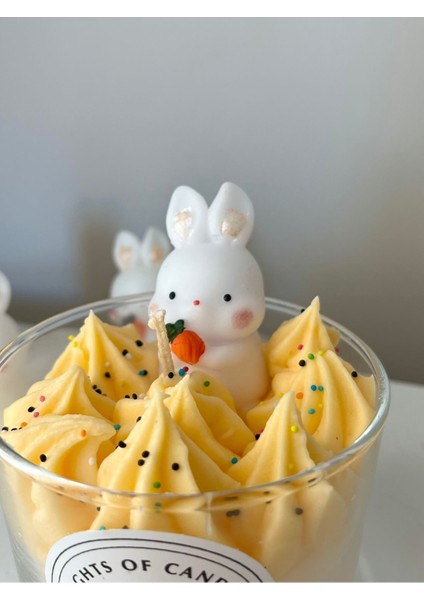 Turuncu Tavşan Figürlü Mango Kokulu Bardak Mum, Şık ve Hoş Detaylı Dekoratif Ürün fiyatları