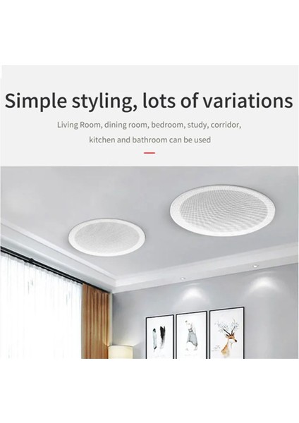 Dahili Amplifikatör Tam Aralıklı Bluetooth Arka Kapak (C) (Yurt Dışından)