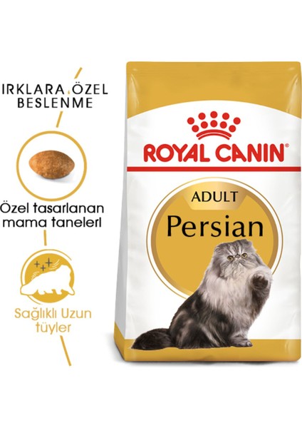 Adult Persian Iran Kedilerine Özel 4 kg Yetişkin Kuru Kedi Maması