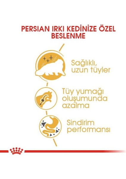 Adult Persian Iran Kedilerine Özel 4 kg Yetişkin Kuru Kedi Maması fırsatları