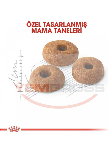 Fit 32 15 kg Yetişkin Kuru Kedi Maması modelleri