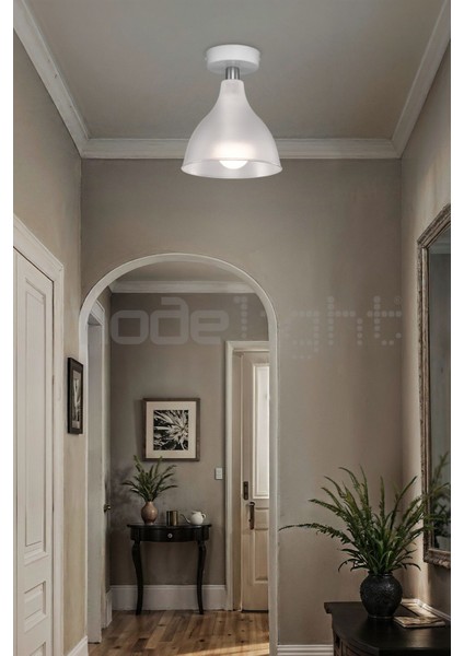 Ronda Tekli Plafonyer Avize Şeffaf Salon-Oturma-Çocuk-Yemek-Yatak Odası-Antre-Mutfak