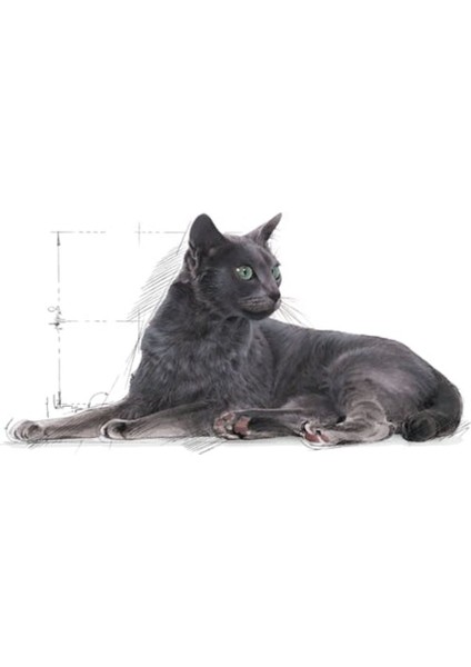 Sterilised 7 Kısırlaştırılmış Yaşlı Kedi Maması 3,5 kg modelleri