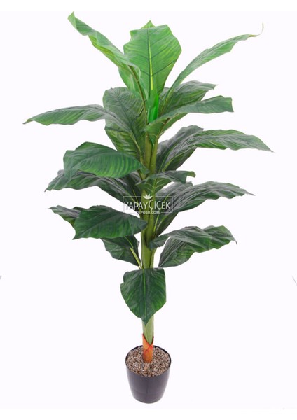 Yapay Ağaç Difenbahya 170 cm Yeşil