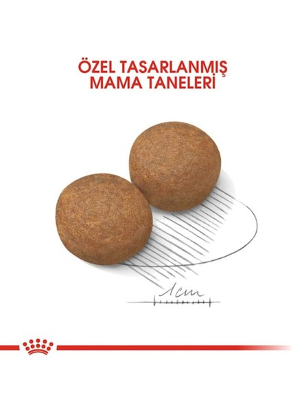 ® Maxi Yetişkin Köpek Maması 15 kg fırsatları