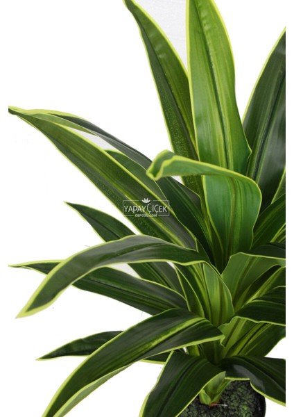 Yapay Ağaç Saksıda Dracaena 100 cm Yeşil-Sarı fırsatları