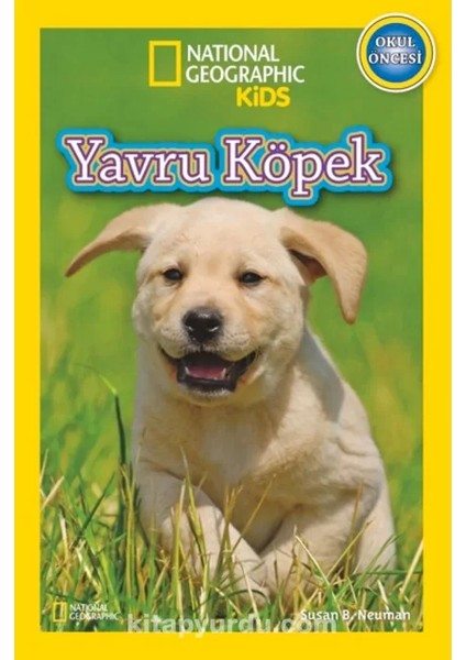 Kutulu Pilli Balık Oyunu