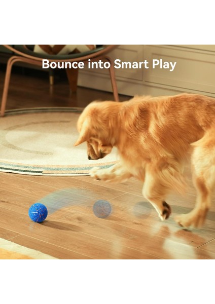 Akıllı İnteraktif Köpek Oyuncağı, Mavi 7 X 7 X 7 Cm indirimleri