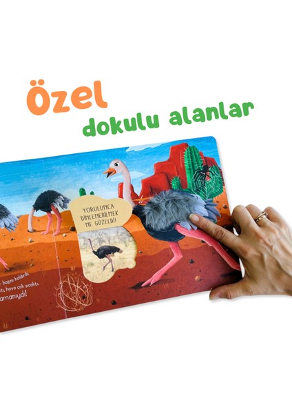 İlk Dokun Hisset Kitabım: Çöle Dokun - Melek Dinçer