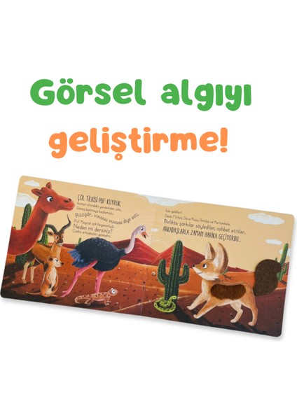 İlk Dokun Hisset Kitabım: Çöle Dokun - Melek Dinçer