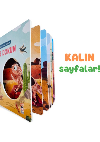 İlk Dokun Hisset Kitabım: Çöle Dokun - Melek Dinçer