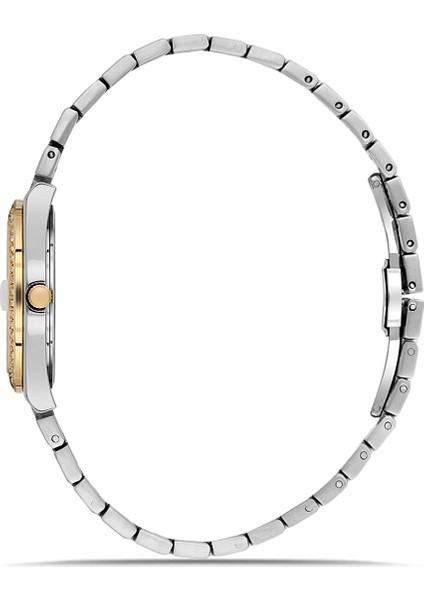 FL21596AWT-D6 Quarzt Çelik Altın/gri Yeşil Kadran 30 mm Kadın Kol Saati fiyatları