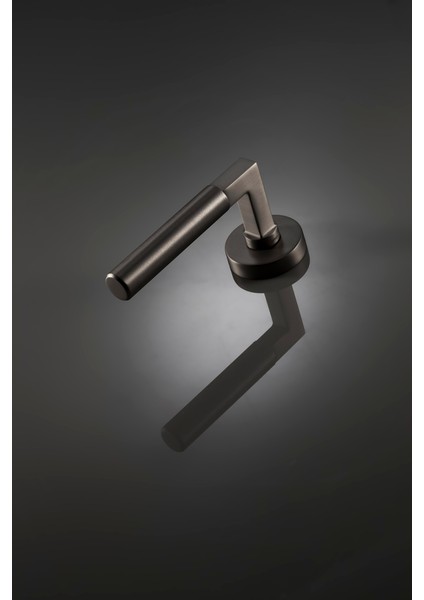 Doğanlar Bs Lüx Rozetli Oda Kapı Kolu Mat Siyah modelleri