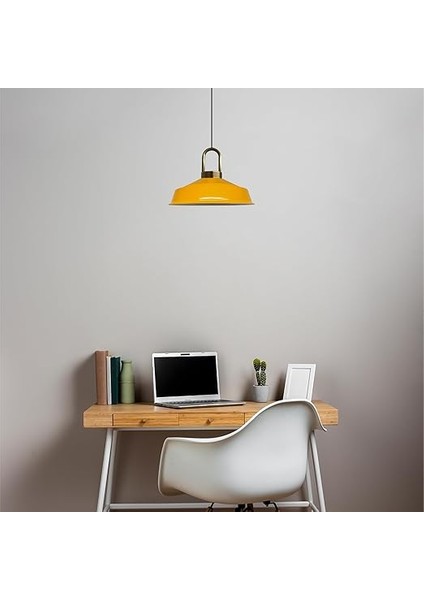 Asaletli Eskitme Kilit Kafa Tekli Avize Retro Sarkıt Ofis Showroom Salon Mutfak Avizeleri