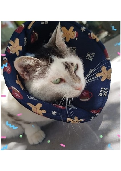 ElizabetKedi KöpekKoruyucu Yakalık Boyunluk