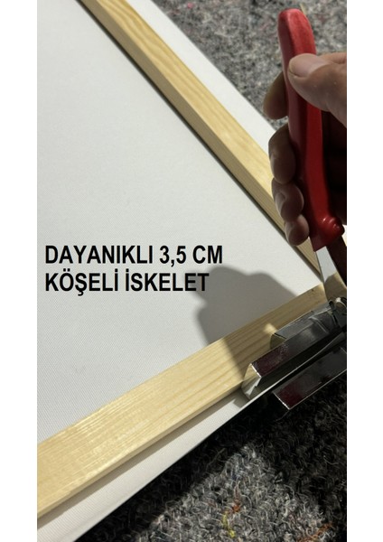 Zenci Kadın Kanvas Tablo