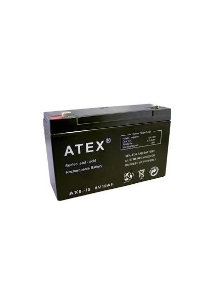 Ince Akü 6V 12AH Amper (4767) - 1OL3493-8439