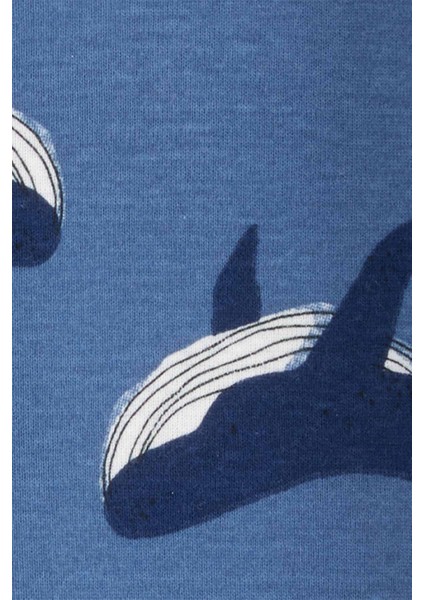 Erkek Bebek Uyku Tulumu fiyatları