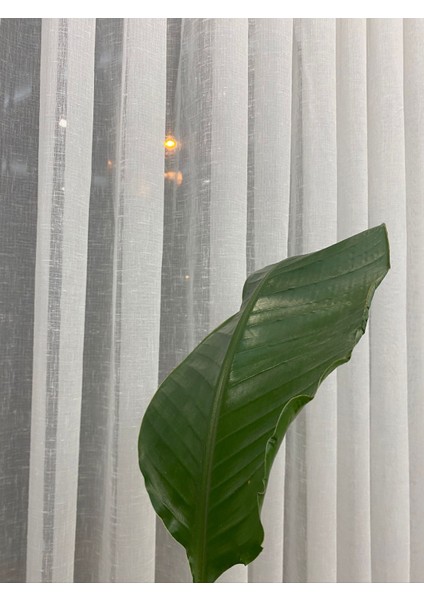 Maria Keten Tül Perde – 1/3 Sık Pileli, Şerit Desenli, Kırışmaz, Ütü Gerektirmez, Modern Şık Tasarım indirimleri