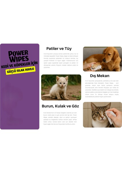 1X100 Yaprak - Kedi ve Köpekler Için Islak Havlu