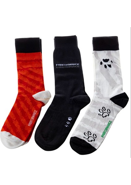 Design Dogs Erkek 3'lü Soket Çorap Seti