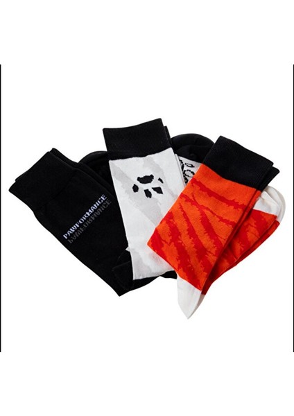 Design Dogs Erkek 3'lü Soket Çorap Seti fırsatları