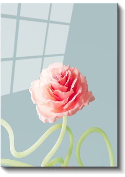 Pastel Gül - Mavi Fonda Minimalist Çiçek Portresi Cam Tablo