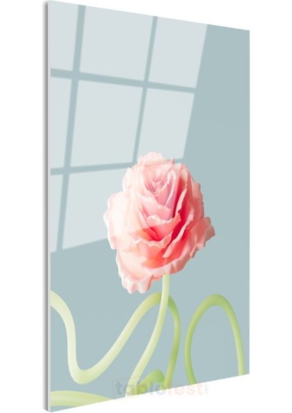 Pastel Gül - Mavi Fonda Minimalist Çiçek Portresi Cam Tablo