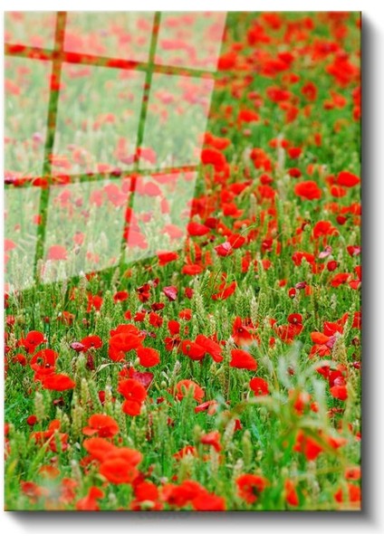 Gelincik Tarlası - Kırmızı Çiçekli Doğa Manzarası Cam Tablo fiyatları