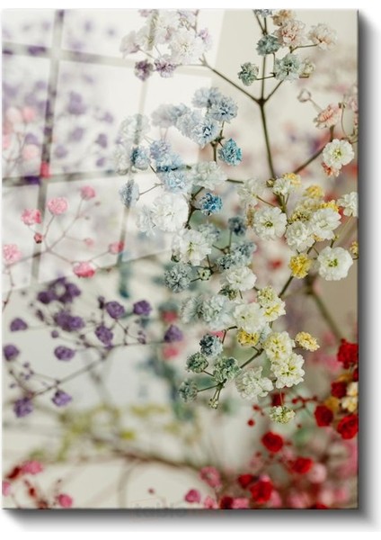 Pastel Cipsofilya - Romantik Narin Çiçekler Cam Tablo fiyatları