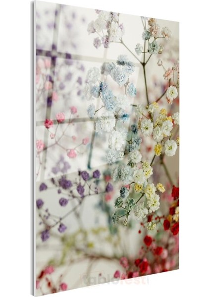 Pastel Cipsofilya - Romantik Narin Çiçekler Cam Tablo modelleri