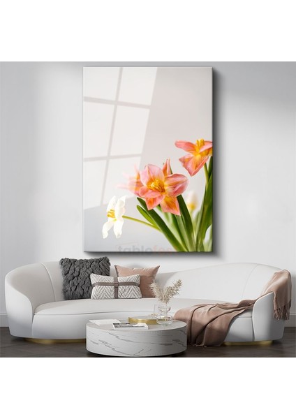 Bahar Çiçekleri - Minimal Beyaz Zeminde Pembe Laleler Cam Tablo
