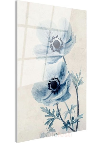 Mavi Anemonlar - Minimalist Çiçek Portresi Cam Tablo modelleri