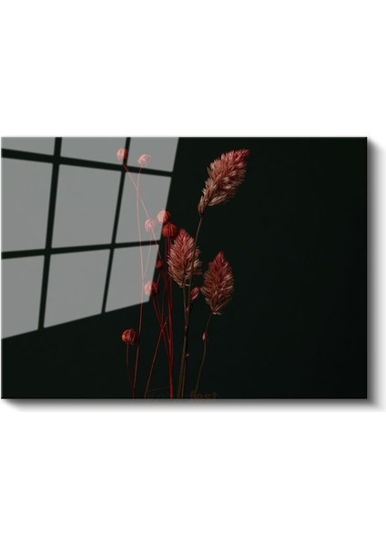Kuru Çiçekler - Siyah Fonda Minimalist Botanik Cam Tablo