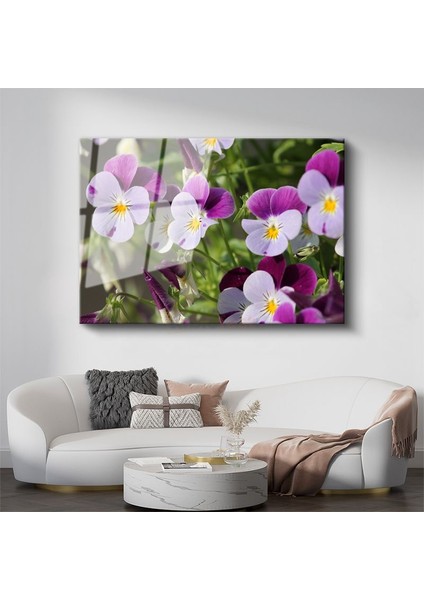 Hercai Menekşeler - Sarı Merkezli Renkli Çiçekler Cam Tablo