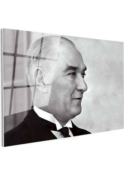 Profil Atatürk - Siyah Beyaz Zarif Portre Cam Tablo modelleri