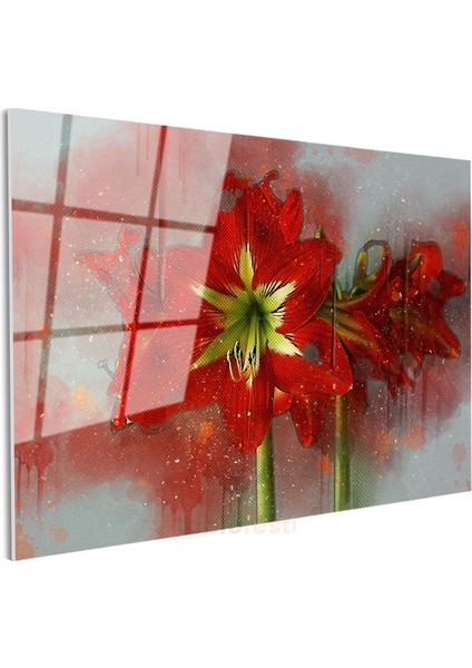 Kırmızı Amaryllis - Sanatsal Suluboya Efektli Çarpıcı Çiçek Cam Tablo modelleri