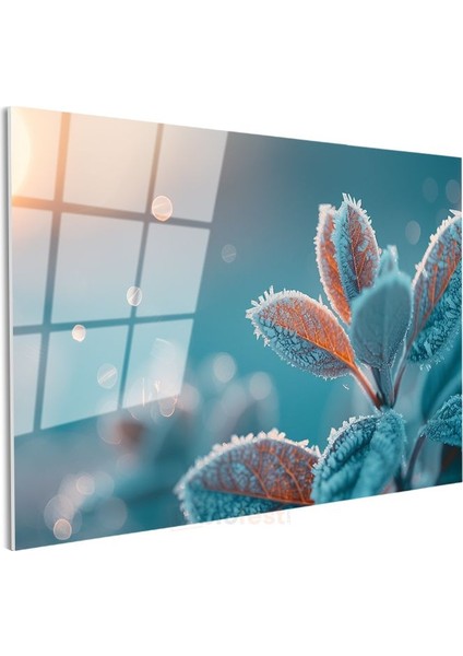 Kristal Yapraklar - Gün Doğumunda Buz Parıltılı Detaylar Cam Tablo modelleri