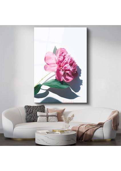 Pembe Şakayık - Modern Botanik Fotoğraf Cam Tablo