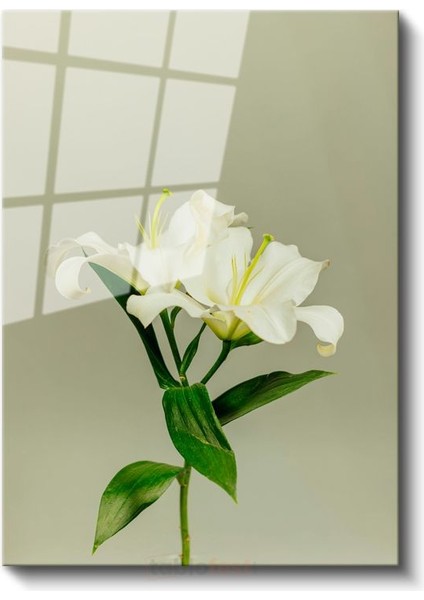Beyaz Lilyum - Minimalist Çiçek Portresi Cam Tablo fiyatları